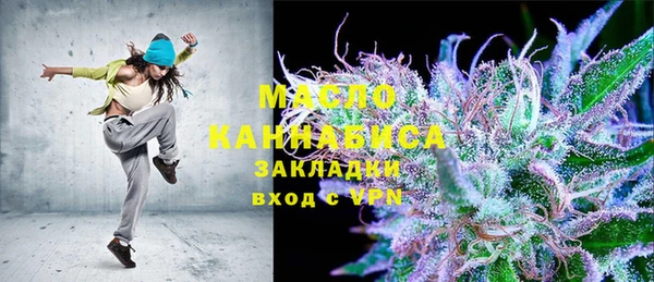 дмт Алексин