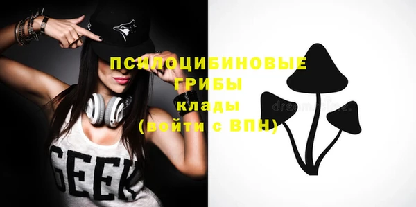 дмт Алексин